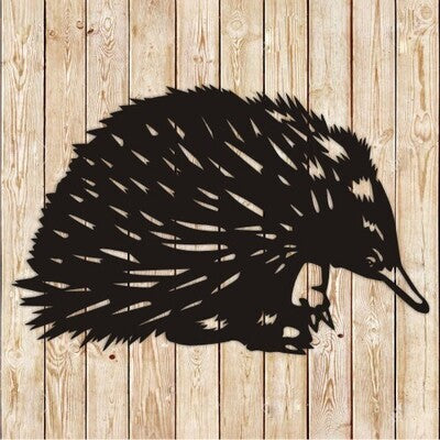 echidna